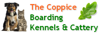 boarding kennels and cattery services